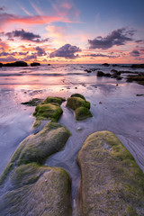 beautiful view of sunset seascape with green moss at Kudat, Sabah Malaysia.