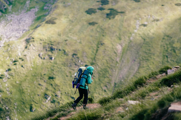 Fototapeta premium Travelers with backpacks and professional tourist equipment climbing carpathian mountains. Hard hiking. Conquest of high hills. Heavy luggage. Reaching top. Alpine walking. Vacation trip. Lifestyle.