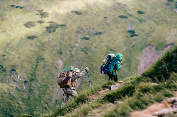 Travelers with backpacks and professional tourist equipment climbing carpathian mountains. Hard hiking. Conquest of high hills. Heavy luggage. Reaching top. Alpine walking. Vacation trip. Lifestyle.
