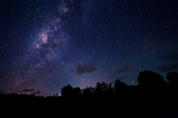 starry night and milky way galaxy night photograph. image contain soft  focus, blur and noise due to long expose and high iso.