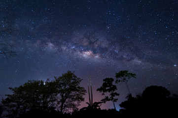 starry night and milky way galaxy night photograph. image contain soft  focus, blur and noise due to long expose and high iso.