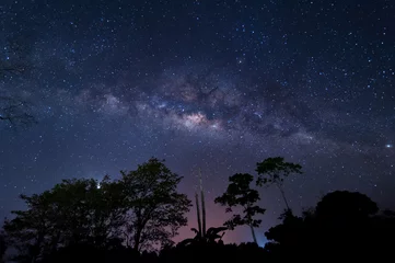 Fototapeten starry night and milky way galaxy night photograph. image contain soft  focus, blur and noise due to long expose and high iso. © udoikel09