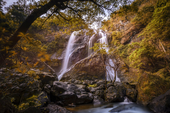 Autumn leaves with waterfall in deep forest