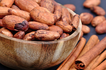 Cocoa beans in a bowl with cinnamon sticks on blue background
