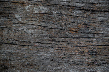 Wood texture rought and old background