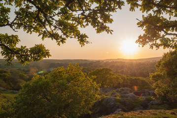 Sunset over the Dartmoor woodland