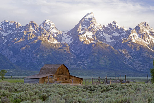Famous barn beneath snow capped mountain in the Grand Tetons. © bettys4240