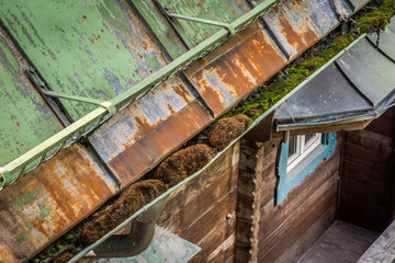 Moos wächst in der Dachrinne des verlassenen Holzhauses