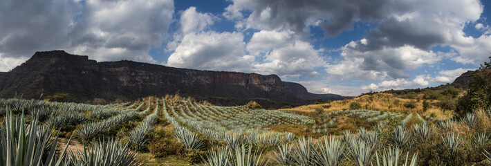 Acatic Mexico