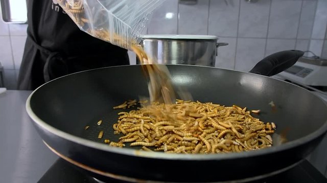 mealworms fried in pan
