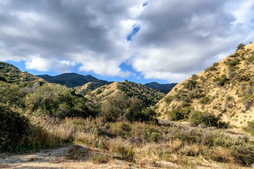 Rain clouds over forest valley in morning sun