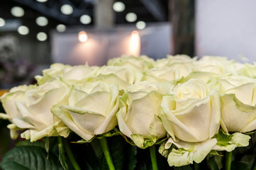 Roses of pink and green modern varieties in a bouquet as a gift. Background. Close up. Selective focus.