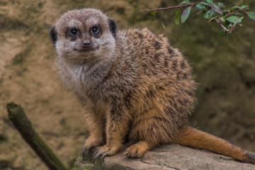 Zoom Erlebniswelt Gelsenkirchen