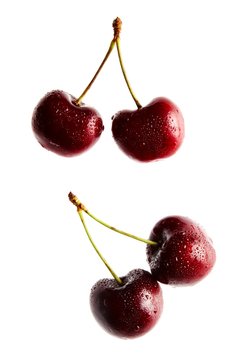Cherries on stem with water drops on white background