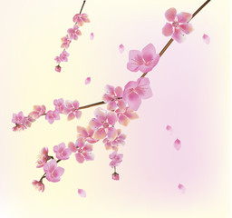 Fototapeta na wymiar Vector Spring. All wakes up, flowers sakura blossom. Postcard .