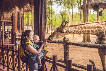 Happy mother and son watching and feeding giraffe in zoo. Happy family having fun with animals...
