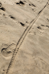 Typical wild beach in Tangier