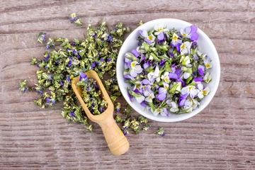 Afwasbaar Fotobehang Viooltjes  small, violet heartsease / Top view of Fresh and dried flowers from field pansy on a wooden background