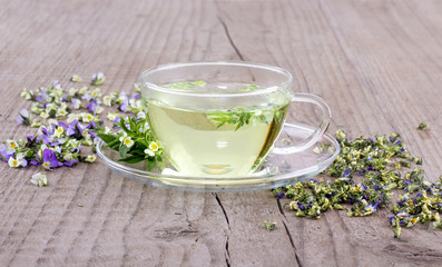 herbal tea with heartsease / Cup of tea with fresh and dried flowers from field pansy on a wooden...
