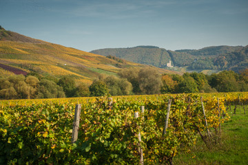 Bernkastel Castle in the Mosel Vineyards