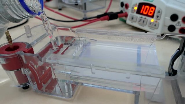 Adding a buffer to the electrophoresis chamber. Add a buffer. Camera with agarose gel.