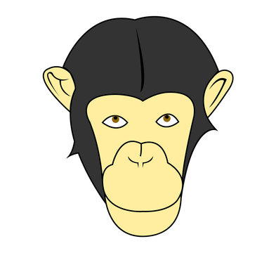 Cartoon chimpanzee head illustration