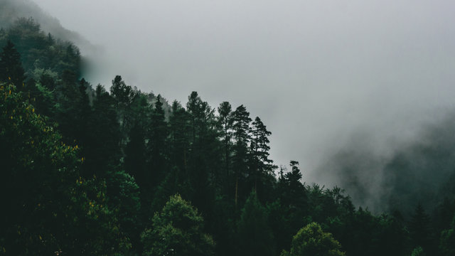 Beauty of travel