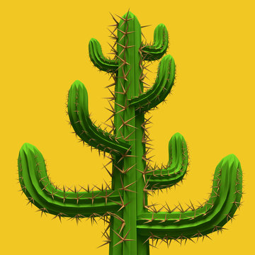 3d Low poly cartoon stylized  cactus. Plant isolated on vivid yellow background. .