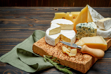 Various types of cheese - parmesan, brie, roquefort, cheddar