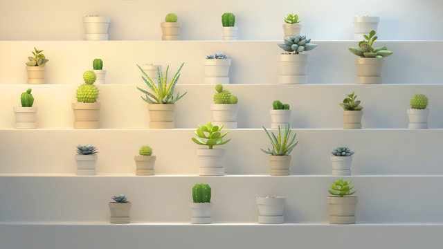 3d rendering of many realistic cactuses with pots on white abstract shelf or stairs. Front angle, side view.