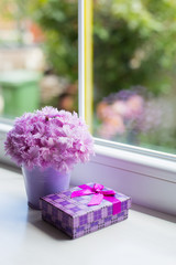 Little purple bucket with tender bouquet of beautiful pink carnation with violet gift box near window in daylight