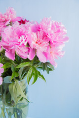 Lush bouquet of beautiful pink peonies in glass vase on blue background