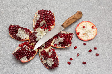 pomegranate white granatapfel punica granatum