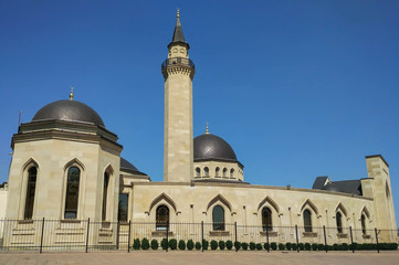Fototapeta na wymiar mosque in Kyiv