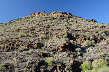 Naklejka premium La Gomera: hike on the coastline near San Sebastian