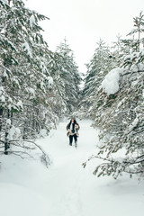 A beautiful girl walks through the snowy winter coniferous forest.