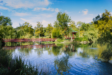 Fototapeta premium Japanese style garden in Napa Valley, California.