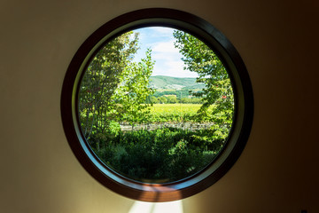 View out of a window in Napa Valley, California.