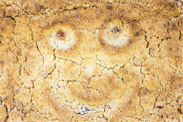 cooked cake with a smile