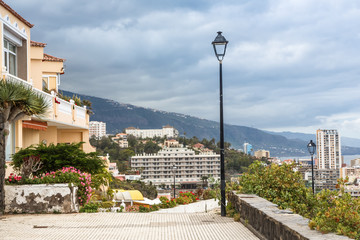 Tenerife. Canary islands. Spain typical, attraction, canary, island, scene, scenery, spanish,...