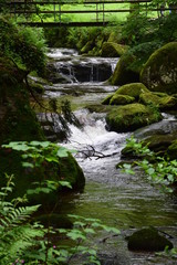 Geroldsauer Wasserfälle in Baden-Baden