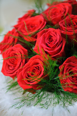 Red roses