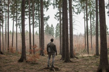 Fototapeta premium Man standing in the forest