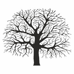 Obraz premium Tree silhouette on white background