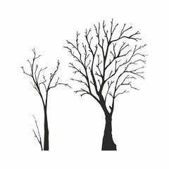 Obraz premium Tree silhouette on white background