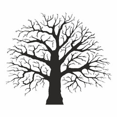 Tree silhouette on white background