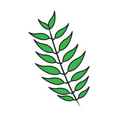 tropical leaf green spring season eco nature vector illustration