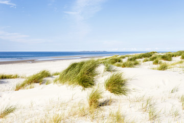 Fototapeta na wymiar Strand mit Dünen auf Amrum, Deutschland, beach with dunes on Amrum, Germany