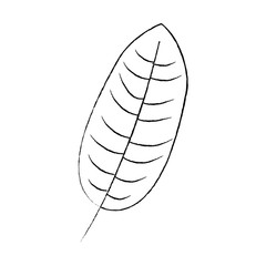 tropical leaf green spring season eco nature vector illustration sketch image