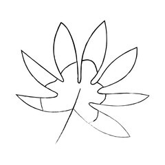 tropical leaf green spring season eco nature vector illustration sketch image